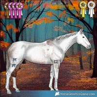 Horse Color:Gray Chocolate Bay Tobiano 