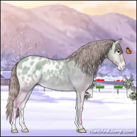 Horse Color:Watercolor Buckskin Onyx Appaloosa Brindle