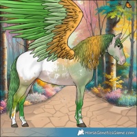 Horse Color:Watercolor Bay Dun Appaloosa