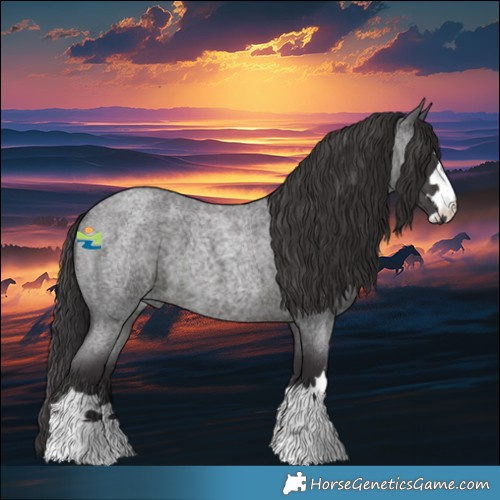 Horse Color:Smoky Blue Roan 