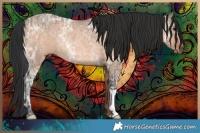 Horse Color:Bay Ice Dun Rabicano 