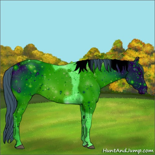 Horse Color:ERROR: UNKNOWN ANOMALY