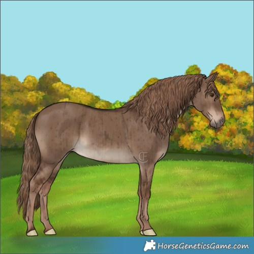Horse Color:Liver Red Dun Brindle 