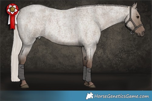 Horse Color:Silver Grullo Roan 