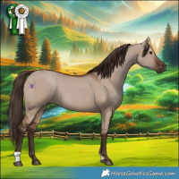 Horse Color:Liver Red Dun 