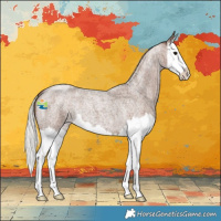 Horse Color:Silver Blue Roan Splash