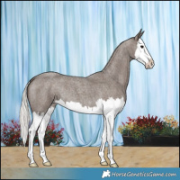 Horse Color:Silver Blue Roan Splash 