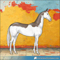 Horse Color:Silver Black Splash