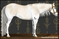 Horse Color:White Spotted Chocolate Palomino Pearl Dun