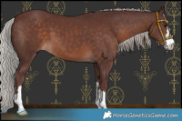 Horse Color:Chocolate Silver Brown 
