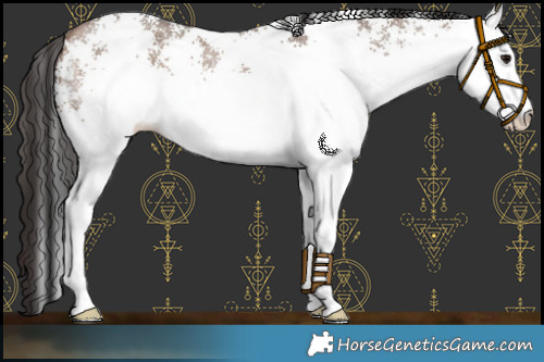 Horse Color:White Spotted Bay Dun 