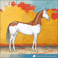 Horse Color:Bay Splash 