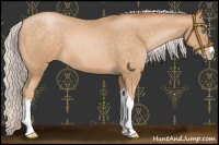 Horse Color:Chocolate Silver Buckskin Pearl