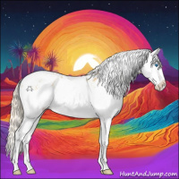 Horse Color:White Spotted Palomino Dun Splash Appaloosa 