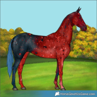 Horse Color:ERROR: UNKNOWN ANOMALY
