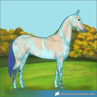 Horse Color:Painted Thunderstruck White Spotted Bay Dun Tobiano 