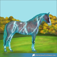 Horse Color:Thunderstruck Watercolor Midnight Bay Ice Roan Splash 