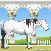 Horse Color:White Spotted Brown Fewspot 