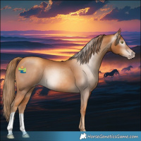 Horse Color:Gray Gold Champagne