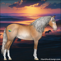 Horse Color:Gray Silver Amber Champagne 