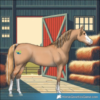 Horse Color:Painted Silver Bay Dun