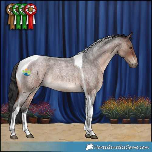 Horse Color:Brown Roan Tobiano 
