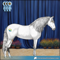 Horse Color:Gray White Spotted Bay Dun Appaloosa Rabicano