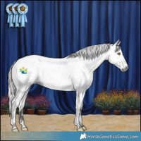 Horse Color:Gray White Spotted Bay Dun Near Fewspot Rabicano 