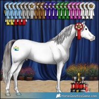 Horse Color:Brown Fewspot 