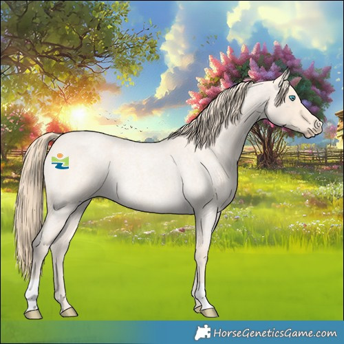 Horse Color:Perlino Roan Rabicano 