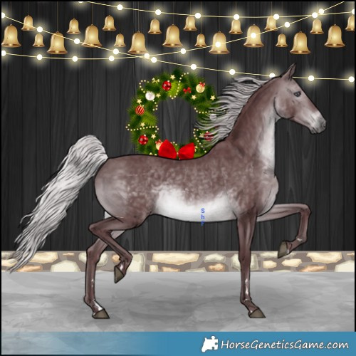 Horse Color:Chocolate Silver Brown Chinchilla 