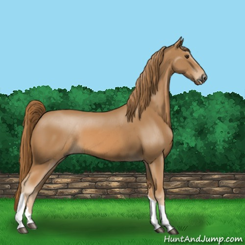 Horse Color:Chestnut Tobiano Rabicano
