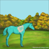 Horse Color:Watercolor Black 