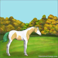 Horse Color:Watercolor Buckskin Splash Tobiano 