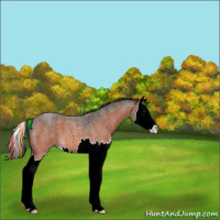 Horse Color:Painted Brown Roan Splash 