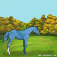 Horse Color:Watercolor Black 