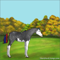 Horse Color:Painted Black Splash 