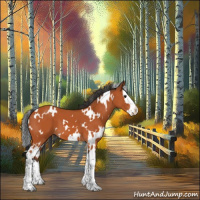 Horse Color:White Spotted Bay Splash 