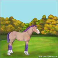 Horse Color:Watercolor Buckskin Splash 