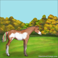 Horse Color:Painted Silver Bay Frame 
