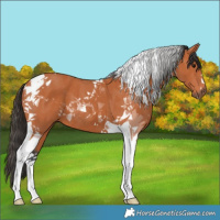 Horse Color:Bay Tobiano