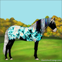 Horse Color:Silver Buckskin Sabino Splash