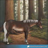 Horse Color:Silver Brown Tobiano 