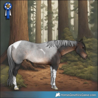 Horse Color:Brown Tobiano 