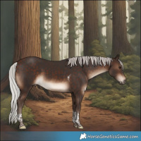 Horse Color:Silver Brown Tobiano Rabicano 