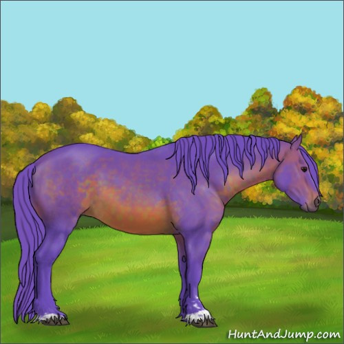 Horse Color:Watercolor Brown Sabino 