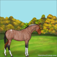 Horse Color:Gray Bay Roan Tobiano 