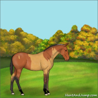 Horse Color:Silver Bay Roan and Void Buckskin Roan