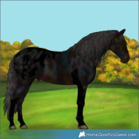 Horse Color:Void Midnight Brown Tobiano Blanket