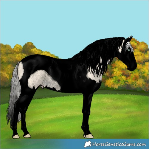 Horse Color:Void Silver Amber Cream Champagne Dun Splash Tobiano Rabicano 